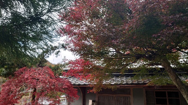 f:id:kyotoyaoyoshi:20191128152111j:image f:id:kyotoyaoyoshi:20191128152111j:image