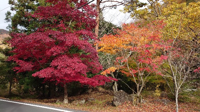 f:id:kyotoyaoyoshi:20191128152121j:image f:id:kyotoyaoyoshi:20191128152121j:image