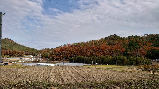 f:id:kyotoyaoyoshi:20191128152134j:image f:id:kyotoyaoyoshi:20191128152134j:image