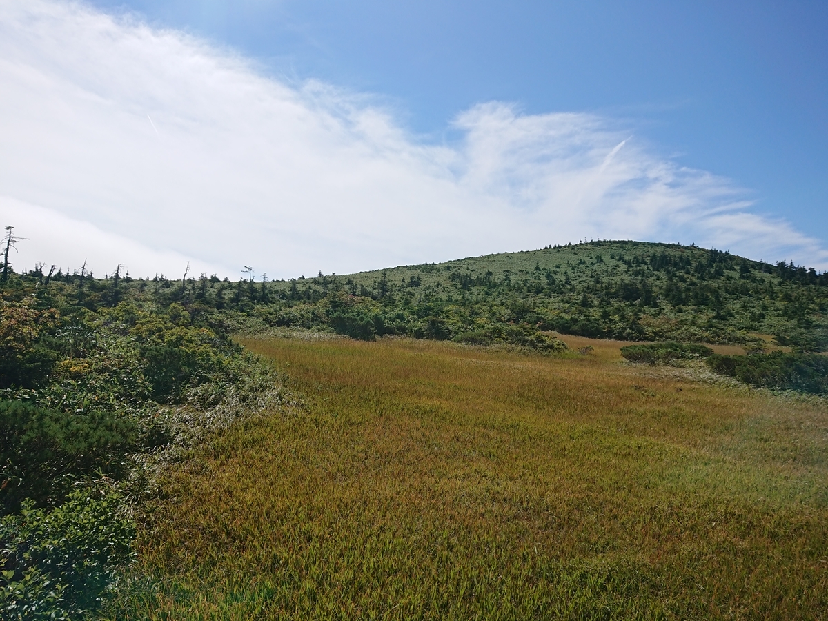 f:id:kyottosei:20190921002253j:plain