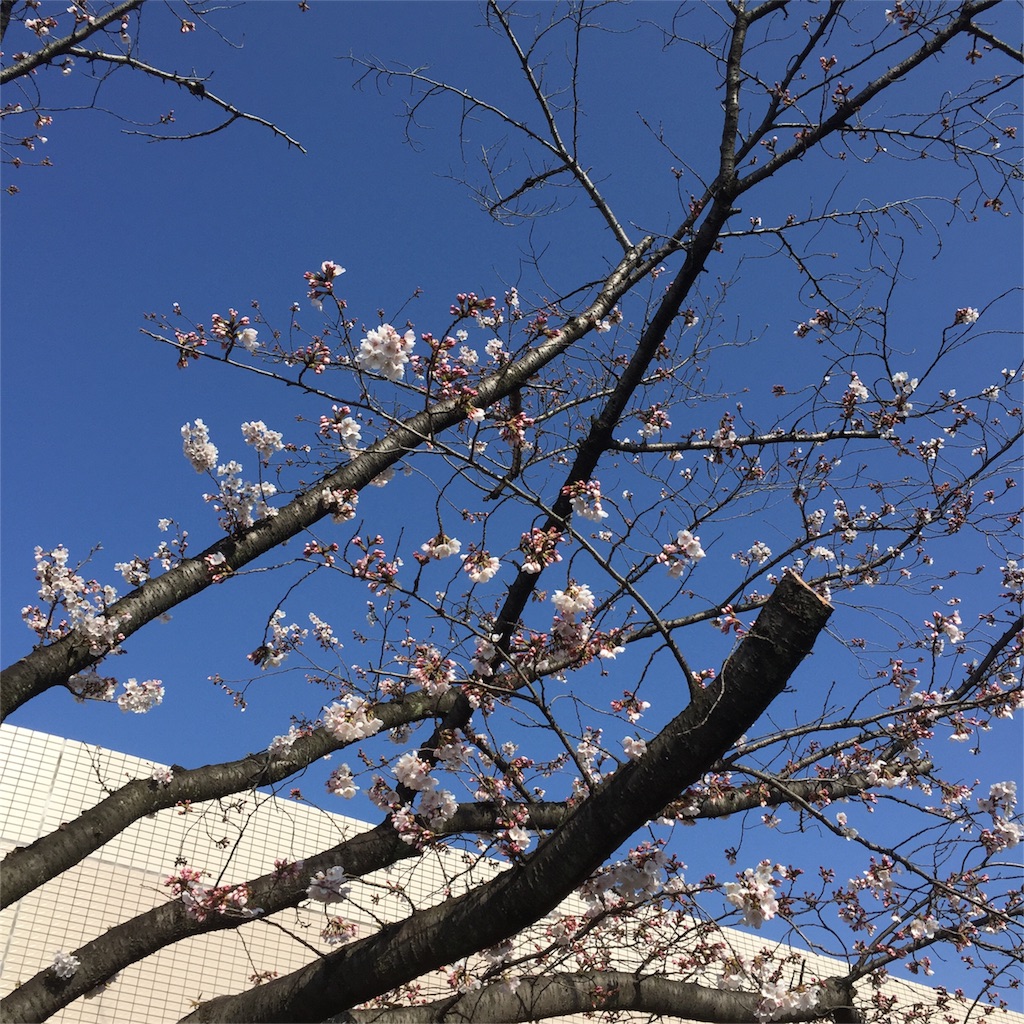 f:id:kyou-mo-iihi:20160329115408j:image f:id:kyou-mo-iihi:20160329115408j:image