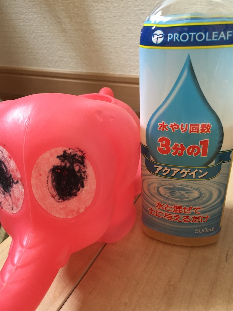 f:id:kyou-mo-iihi:20160509122913j:image f:id:kyou-mo-iihi:20160509122913j:image