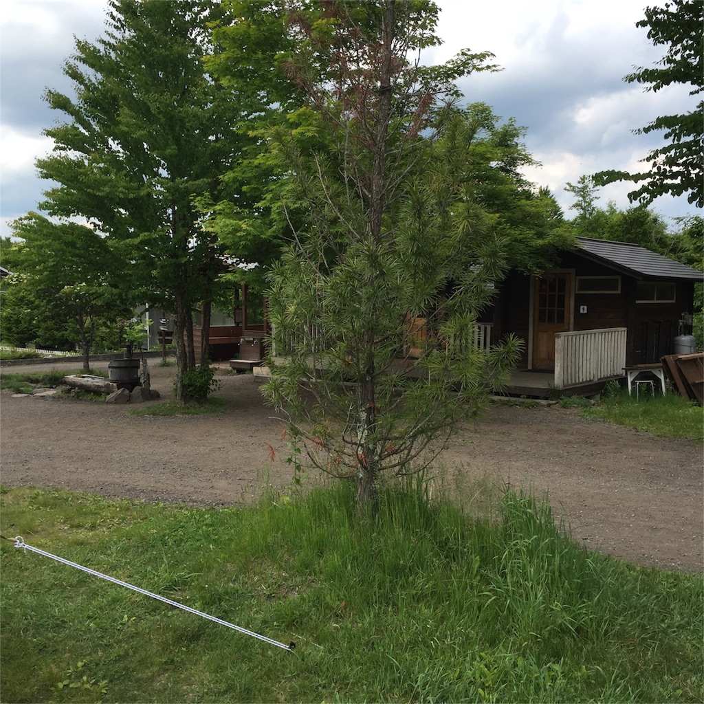 f:id:kyou-mo-iihi:20160610223703j:image f:id:kyou-mo-iihi:20160610223703j:image