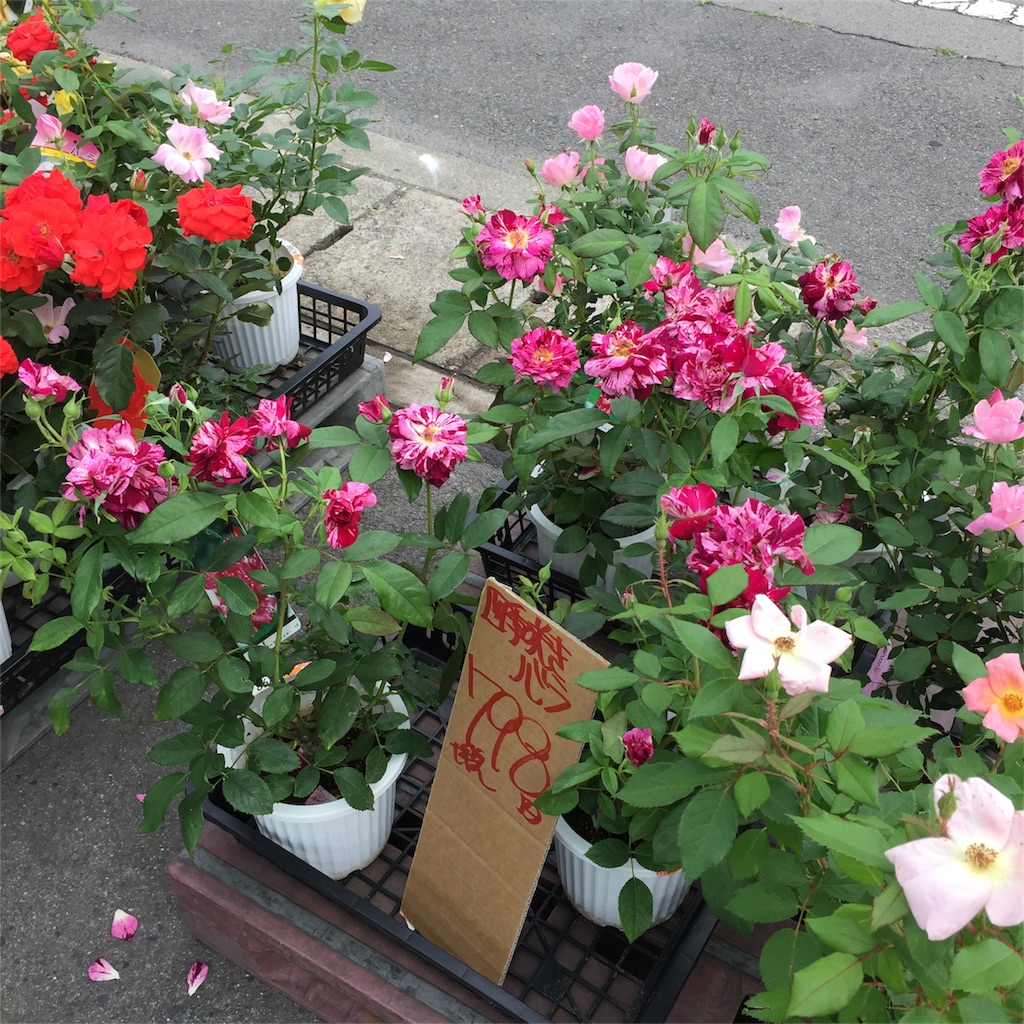 f:id:kyou-mo-iihi:20170702211529j:image f:id:kyou-mo-iihi:20170702211529j:image