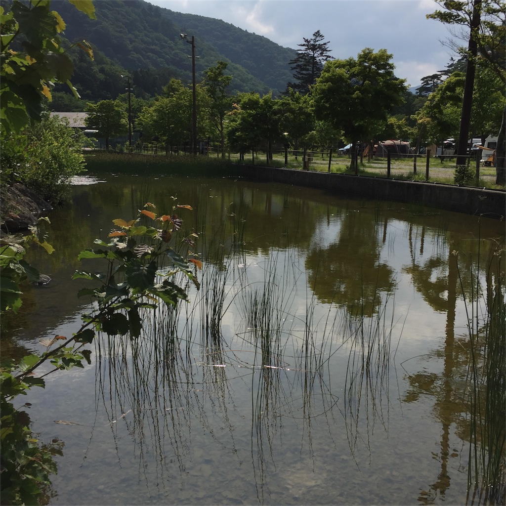 f:id:kyou-mo-iihi:20170704224447j:image f:id:kyou-mo-iihi:20170704224447j:image