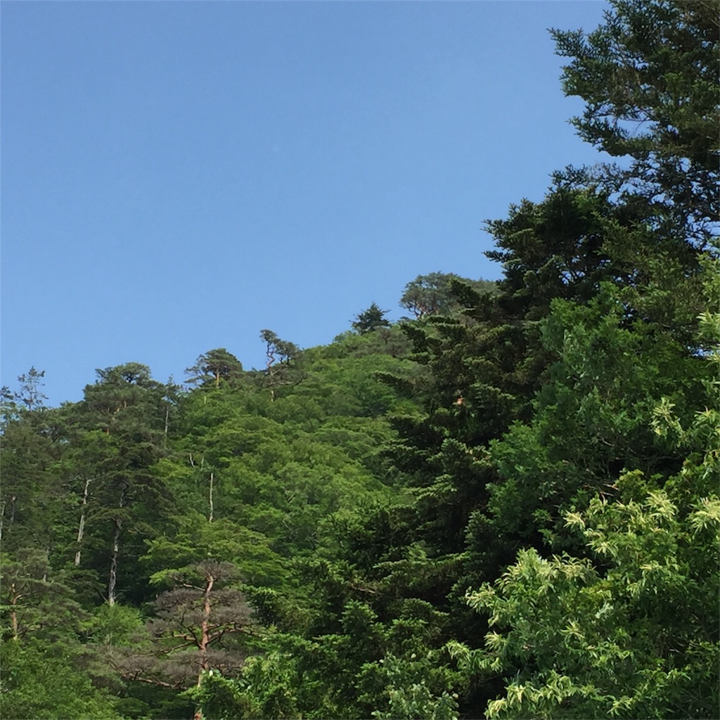 f:id:kyou-mo-iihi:20170704224530j:image f:id:kyou-mo-iihi:20170704224530j:image