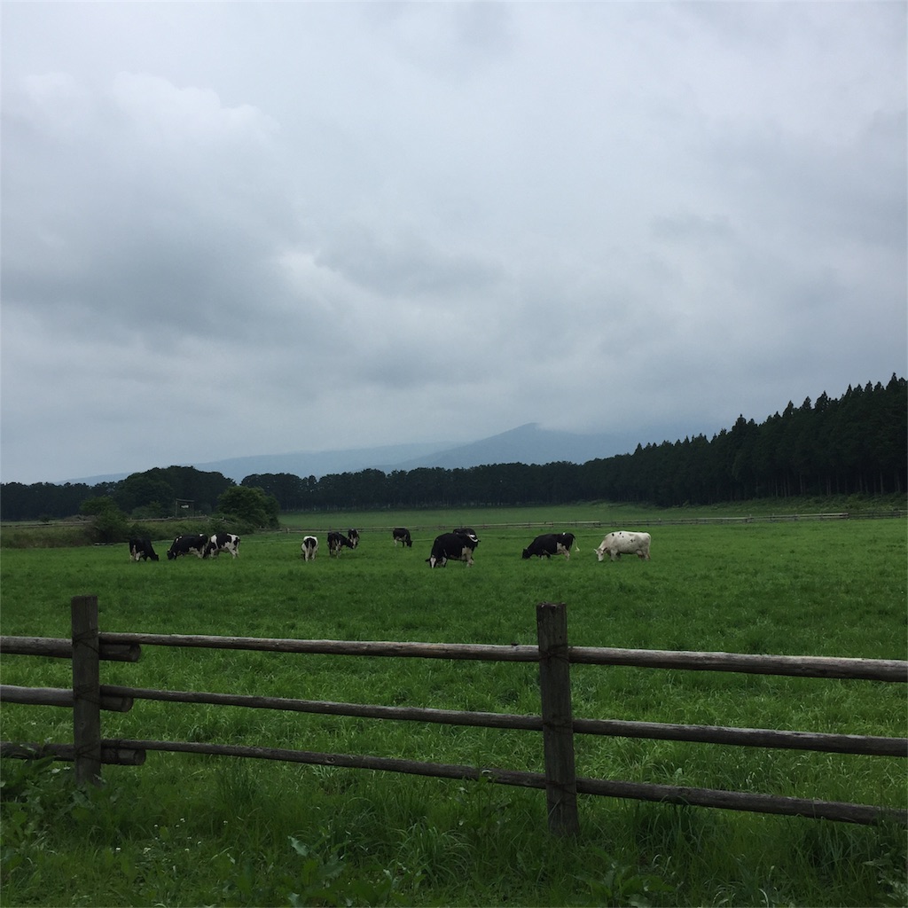 f:id:kyou-mo-iihi:20170707172741j:image f:id:kyou-mo-iihi:20170707172741j:image