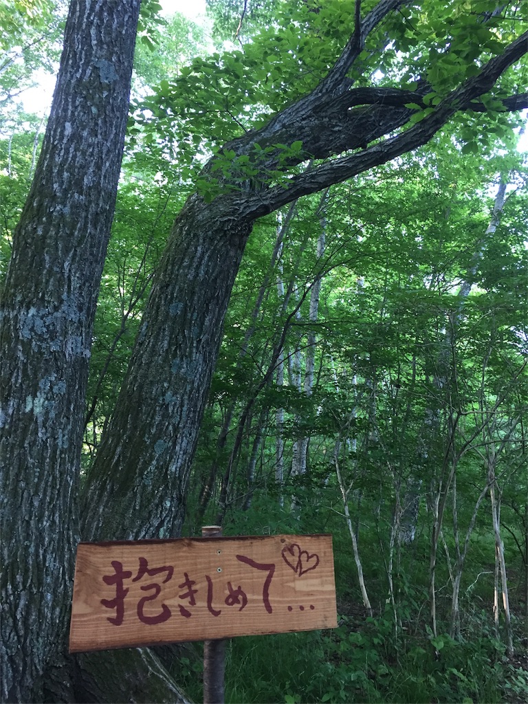 f:id:kyou-mo-iihi:20180616063131j:image f:id:kyou-mo-iihi:20180616063131j:image