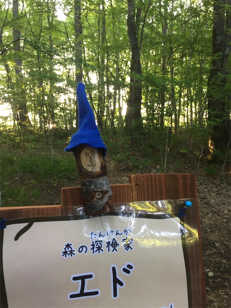 f:id:kyou-mo-iihi:20180616063156j:image f:id:kyou-mo-iihi:20180616063156j:image