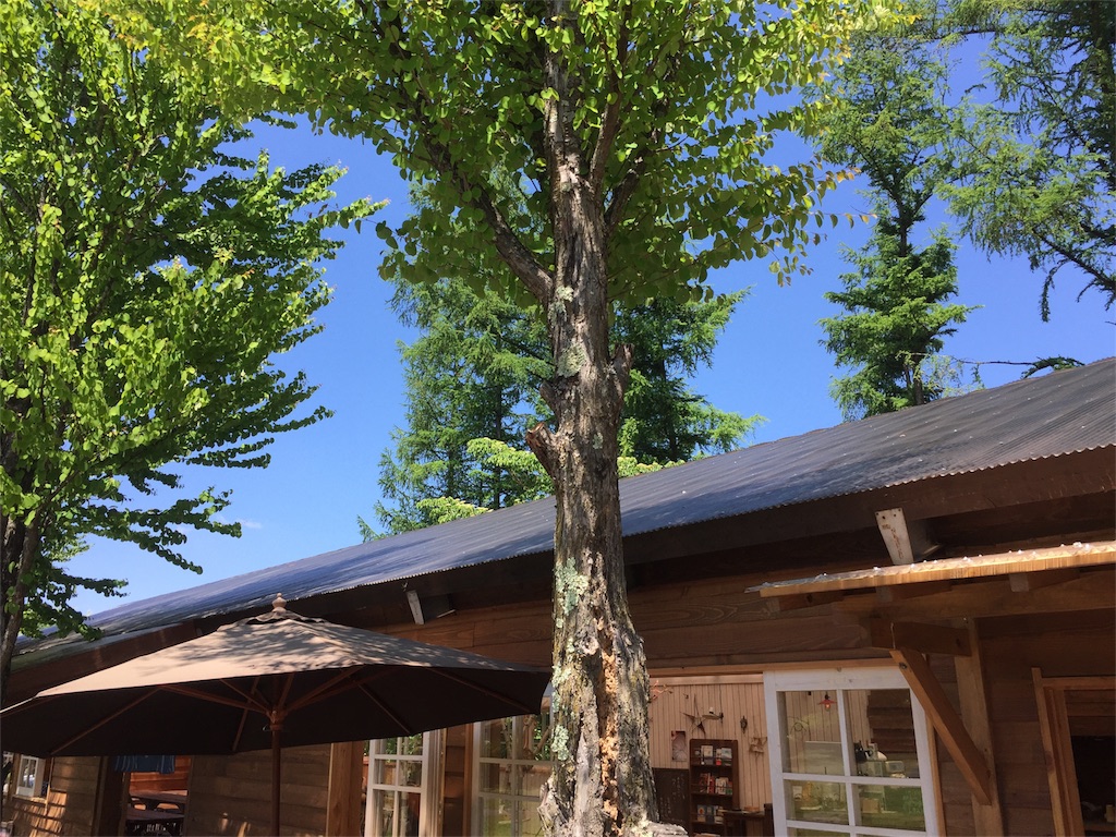 f:id:kyou-mo-iihi:20180616063234j:image f:id:kyou-mo-iihi:20180616063234j:image