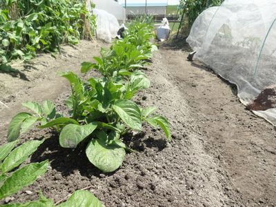 f:id:kyouchan59:20180429120259j:image f:id:kyouchan59:20180429120259j:image