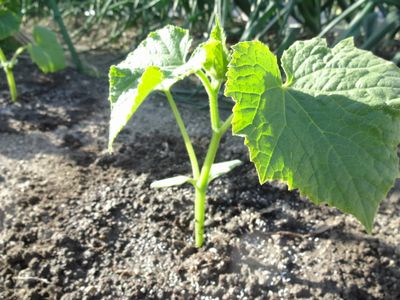 f:id:kyouchan59:20180429120302j:image f:id:kyouchan59:20180429120302j:image