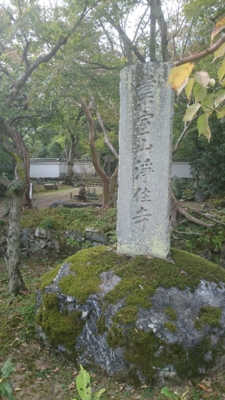 f:id:kyoudan:20151018195510j:image:w640