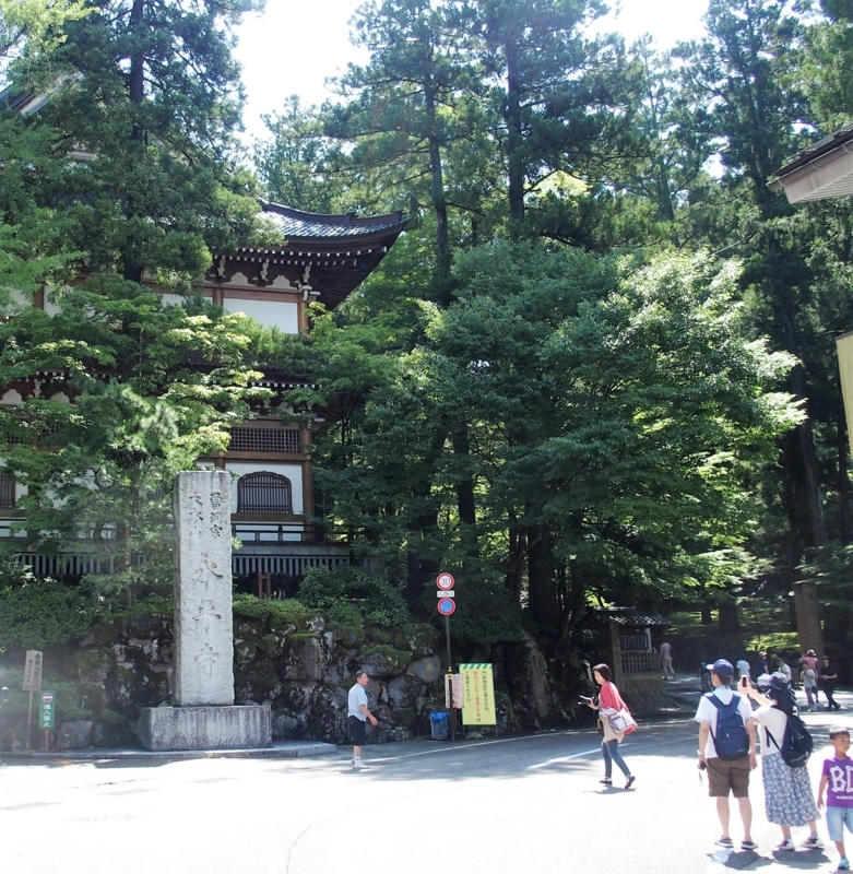 f:id:kyoudan:20170826102506j:image:w640