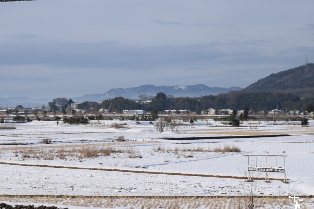 通達019 雪の亀岡に221系を追う 写真は鉄で出来ている