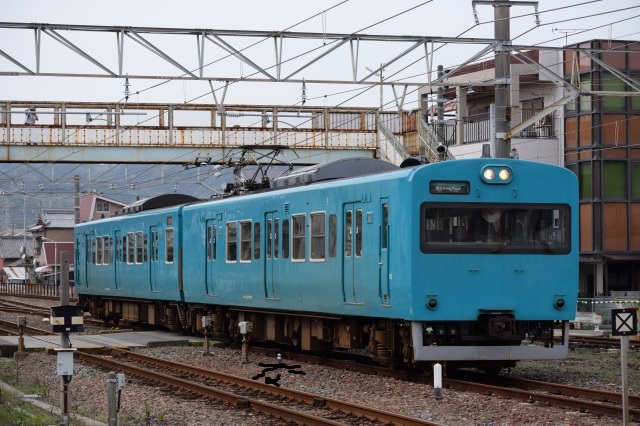 通達116 「 異形の青い113系を狙う 紀伊半島遠征その6 」 - 写真は鉄