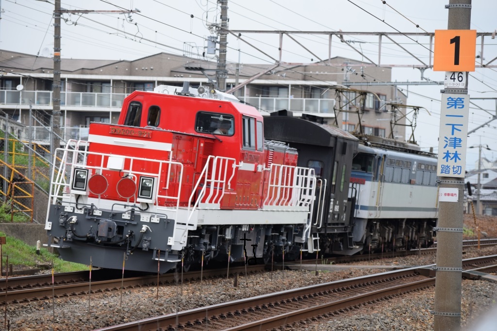 通達203 「 甲58 JR貨物 DD200-901号機の甲種輸送を狙う