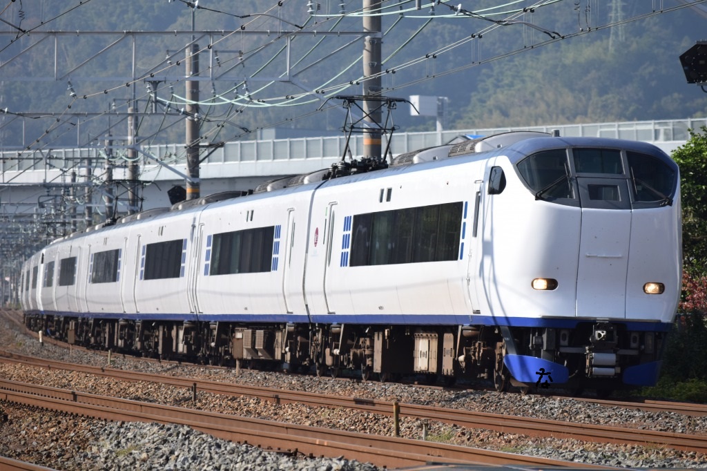 第664列車 「 サロンカーなにわ！琵琶湖一周の旅 を狙う