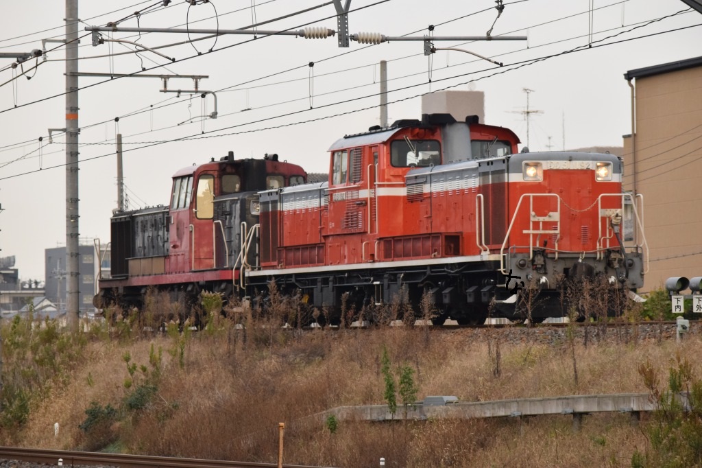 嵯峨野観光鉄道 ＤＥ１０ 第702列車 「 嵯峨野観光鉄道のDE10臨検を狙う 関西秋のデーテンまつり