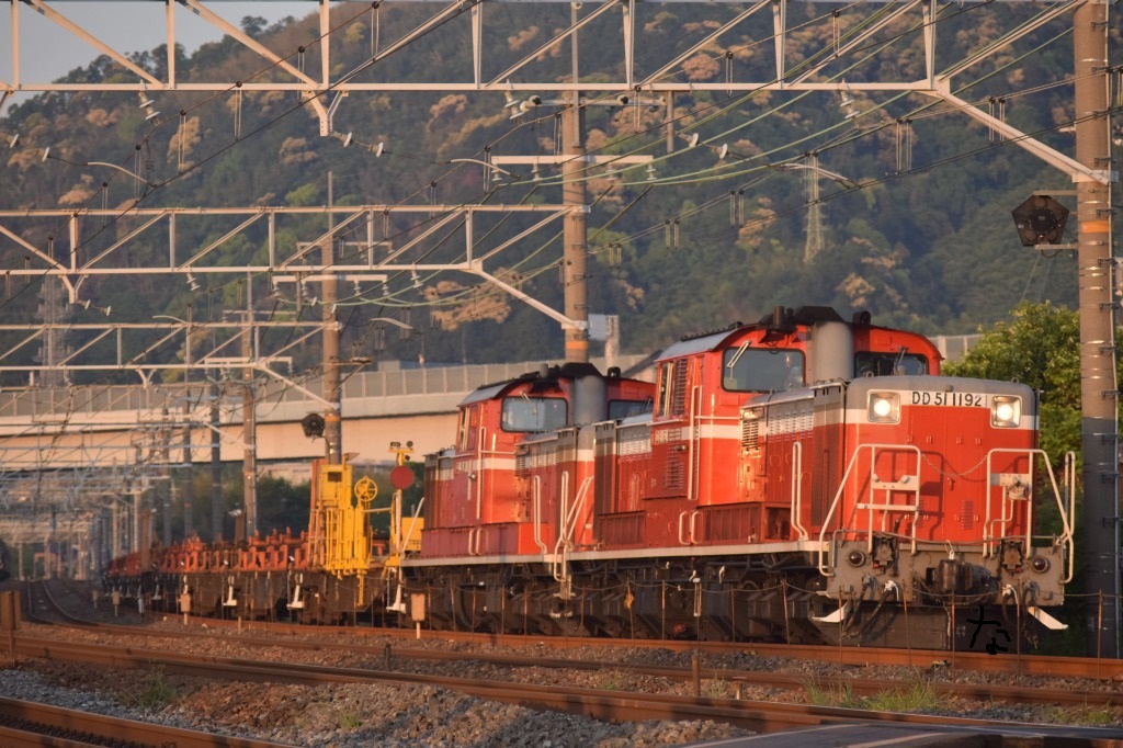 第869列車 「 DD51重連が牽引する阪和工臨を狙う 」 - 写真は鉄で出来