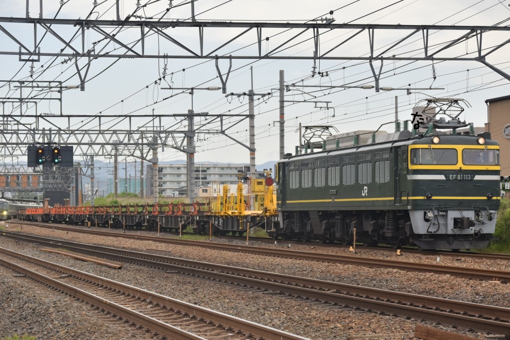 第882列車 「 トワ釜EF81が牽引する敦賀工臨の返空を狙う 」 - 写真は