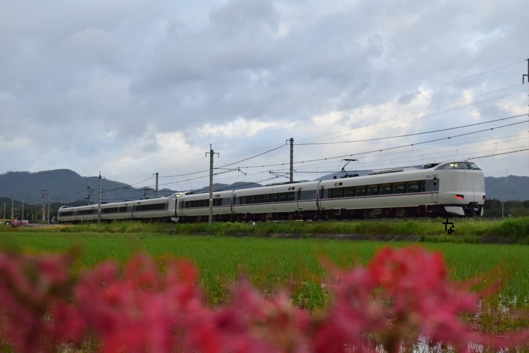 f:id:kyouhisiho2008:20191103172940j:plain f:id:kyouhisiho2008:20191103172940j:plain