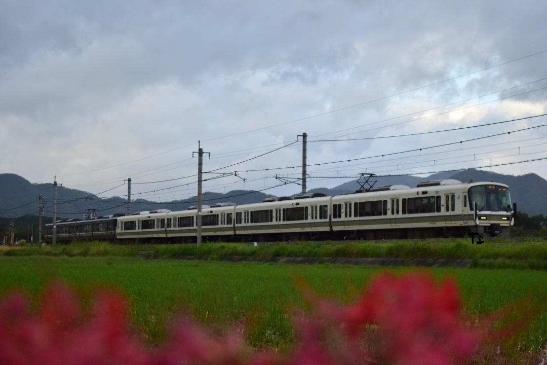 f:id:kyouhisiho2008:20191103173021j:plain f:id:kyouhisiho2008:20191103173021j:plain