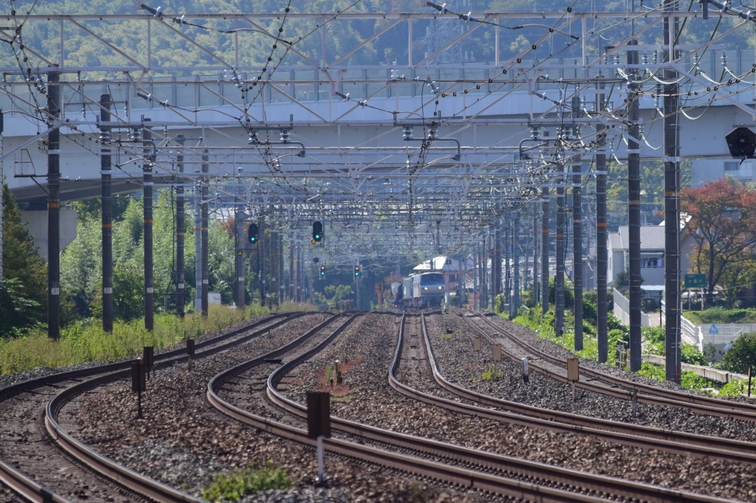 f:id:kyouhisiho2008:20191112185919j:plain