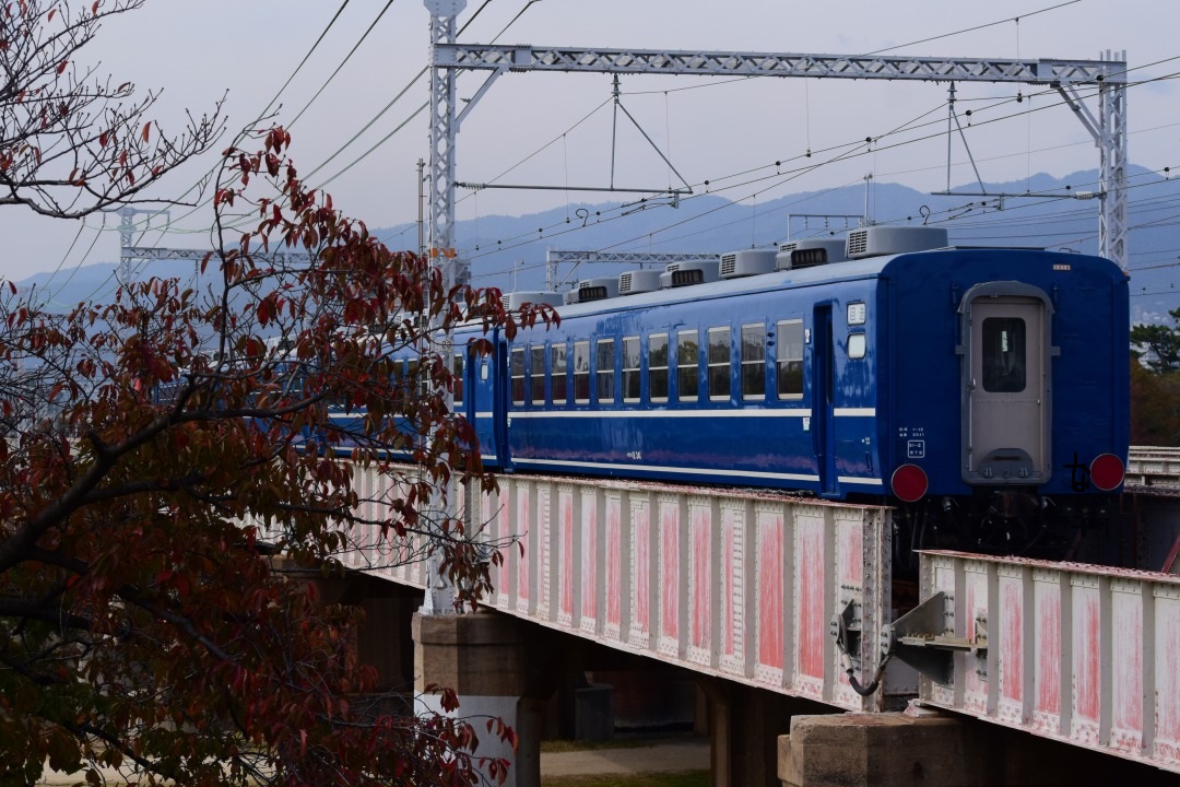 第1051列車 「 網干訓練！DD51牽引の12系客車列車を狙う