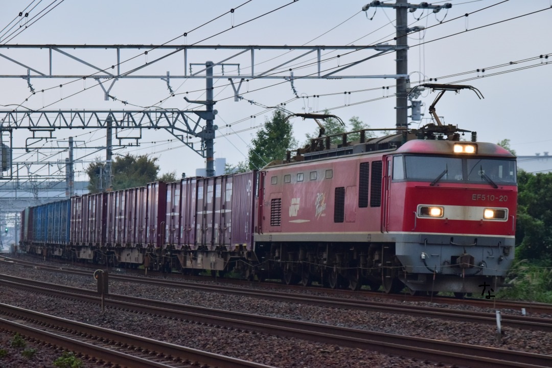第1054列車 「 単8789レ 重連単機で回送されるDD51を狙う 」 - 写真は
