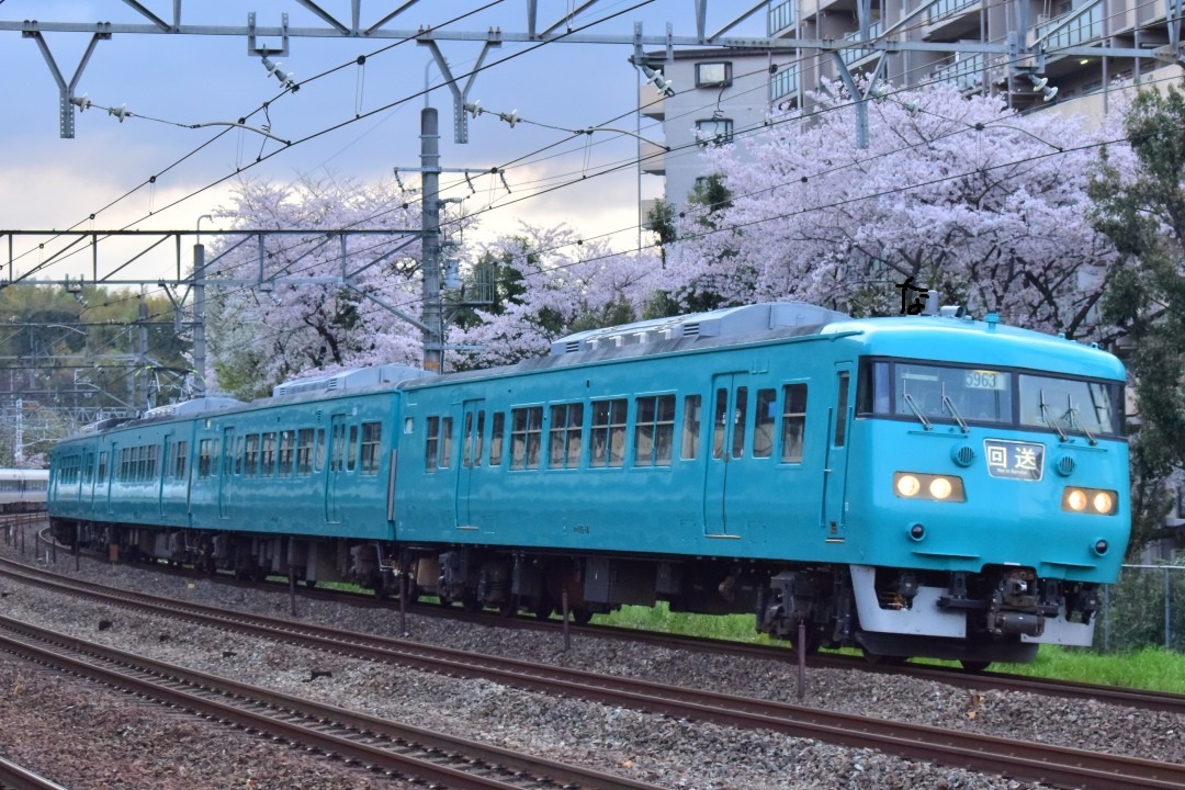 117系和歌山色です