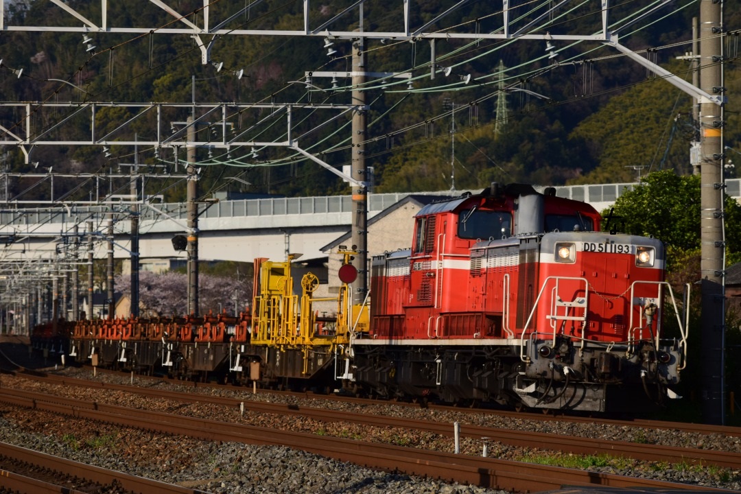 第1192列車 「 宝殿工臨と金沢工臨の返空etc…を狙う 」 - 写真は