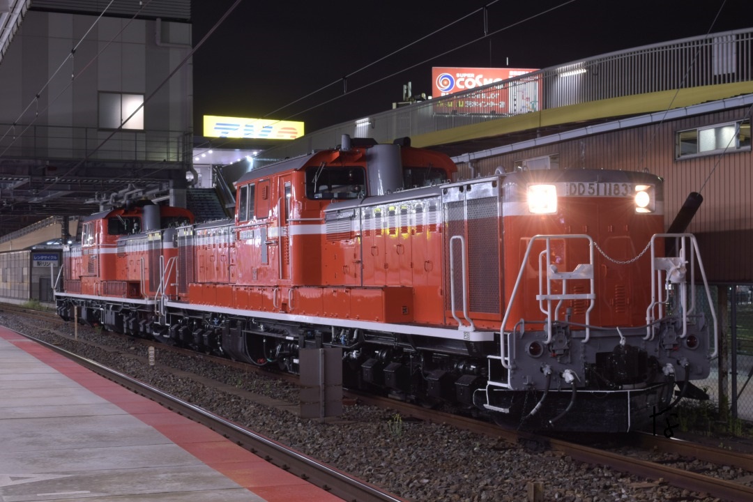 鉄道 第1227列車 「 DD51重連が牽引する阪和工臨を狙う 」 - 写真は鉄で出来