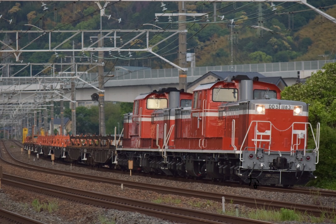 第1227列車 「 DD51重連が牽引する阪和工臨を狙う 」 - 写真は鉄で出来
