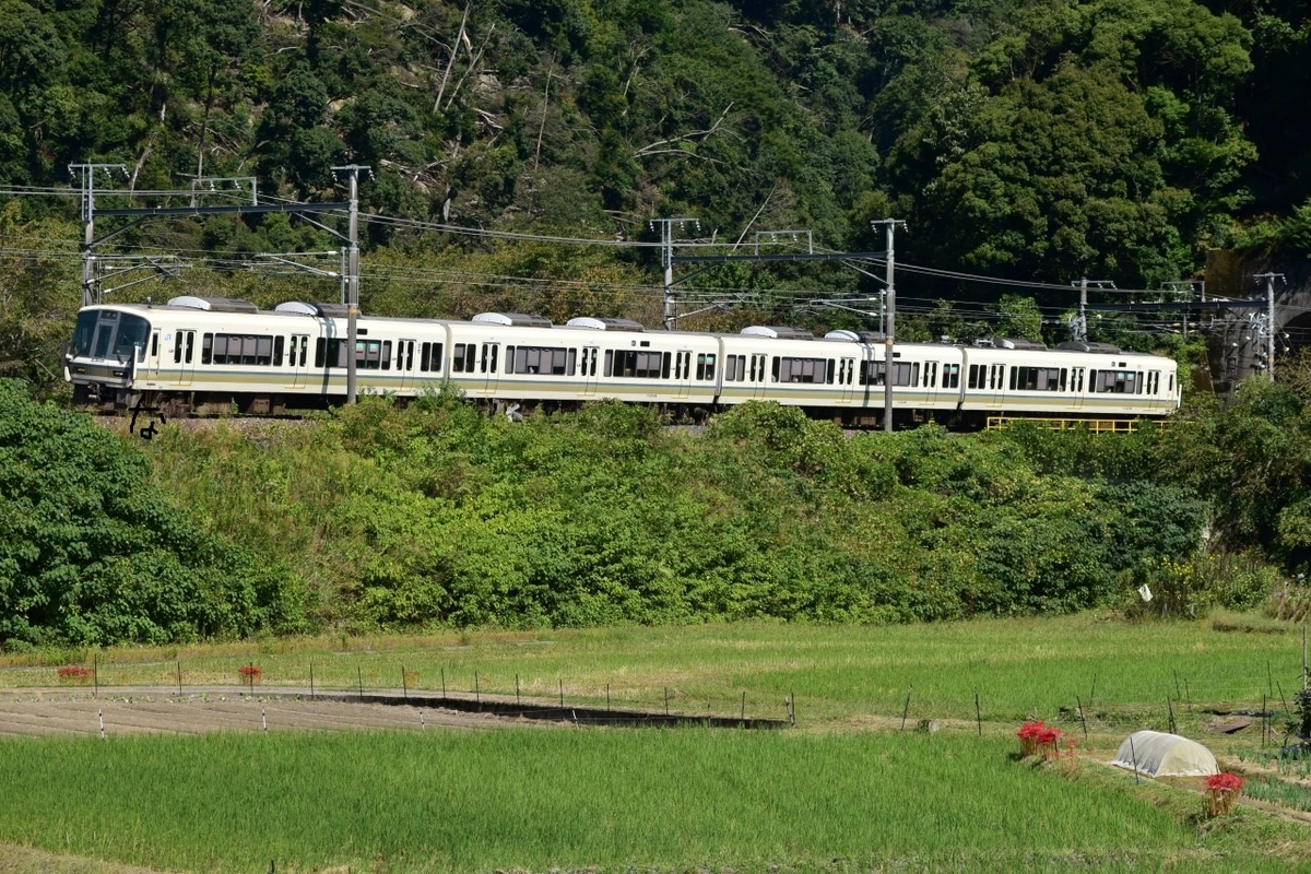 f:id:kyouhisiho2008:20201002211954j:plain