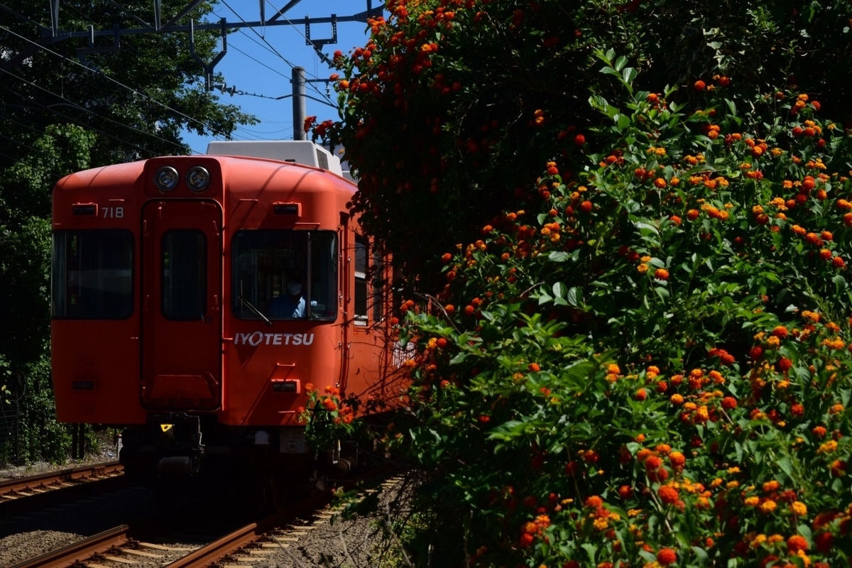 第1509列車 名車健在 伊予鉄道700系を狙う お盆 伊予鉄高浜線紀行その2 写真は鉄で出来ている