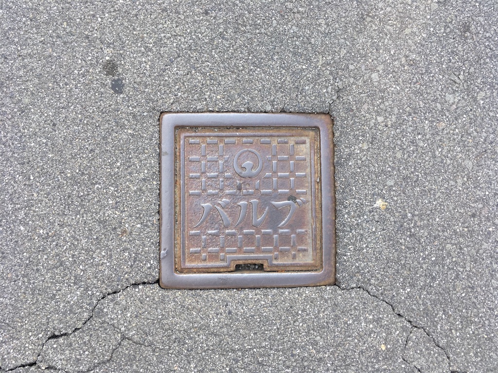 f:id:kyoukaiseki:20190601120913j:image