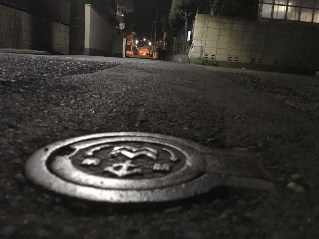 f:id:kyoukaiseki:20190601123857j:image