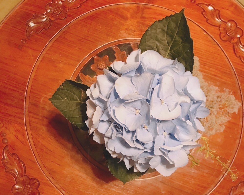 f:id:kyoukiuki:20200705095813j:plain f:id:kyoukiuki:20200705095813j:plain