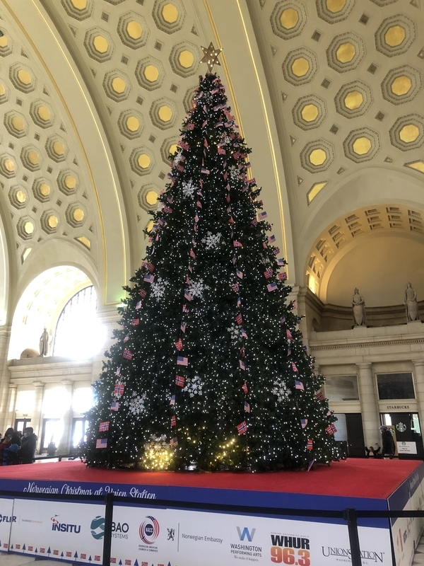 ワシントンDC クリスマスツリーめぐり2020 - メリーさんのひつじ日記