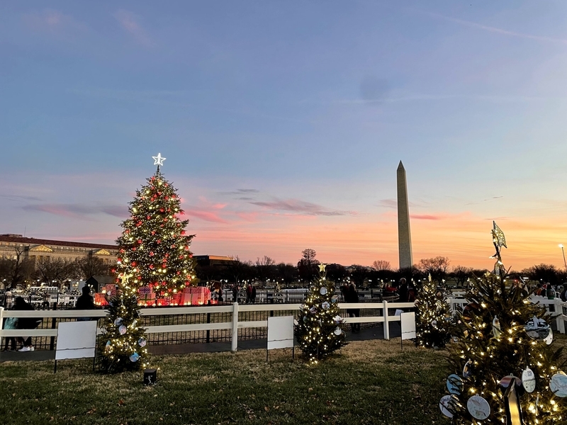 f:id:kyoumix:20211221011951j:plain