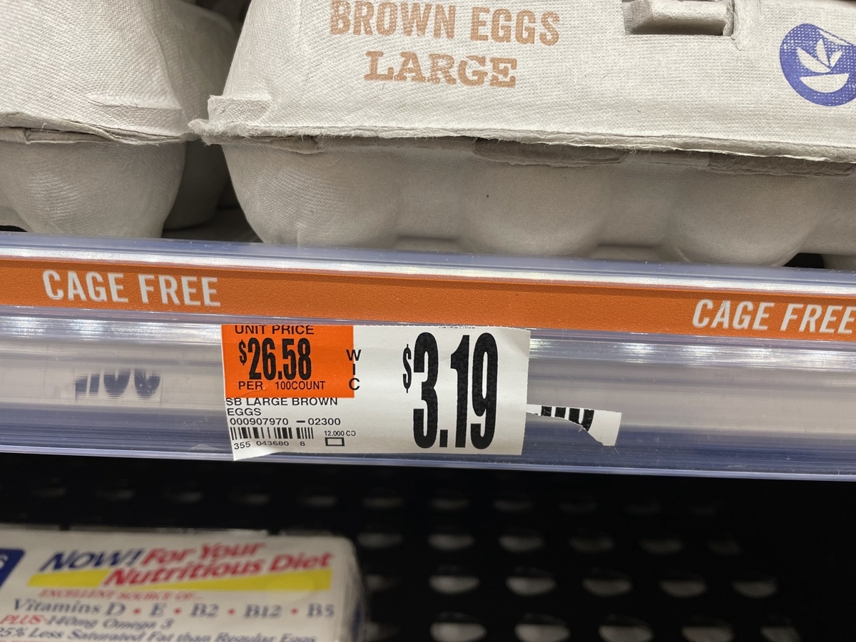 f:id:kyoumix:20220210033636j:plain