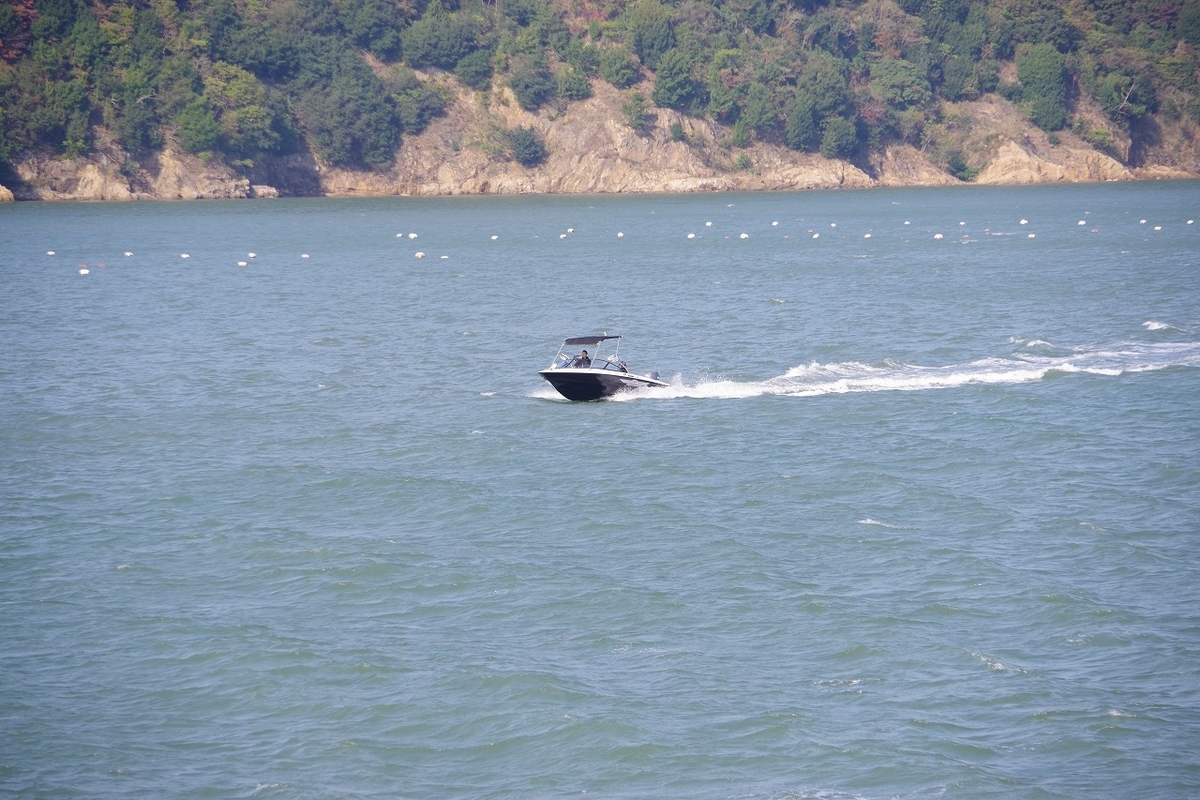 f:id:kyoumo_ichinichi:20190325220859j:plain f:id:kyoumo_ichinichi:20190325220859j:plain