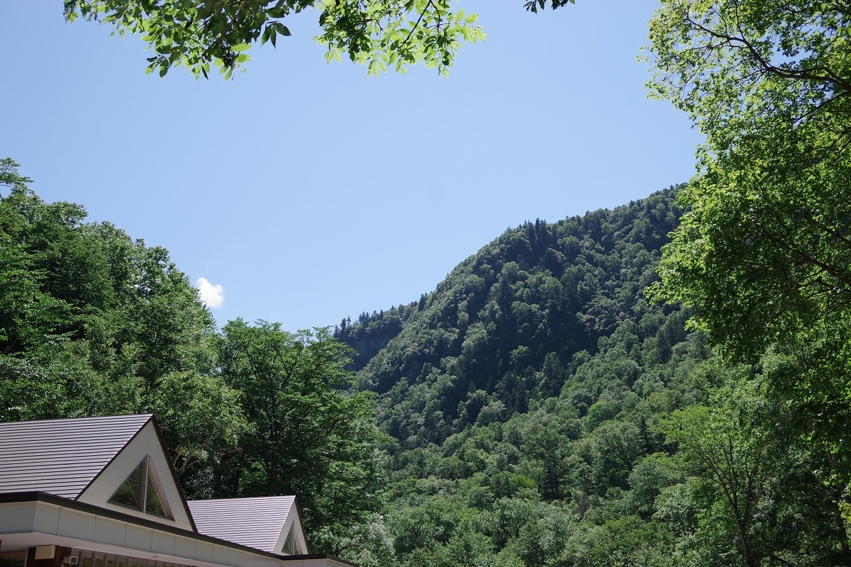 f:id:kyoumo_ichinichi:20190325221733j:plain f:id:kyoumo_ichinichi:20190325221733j:plain