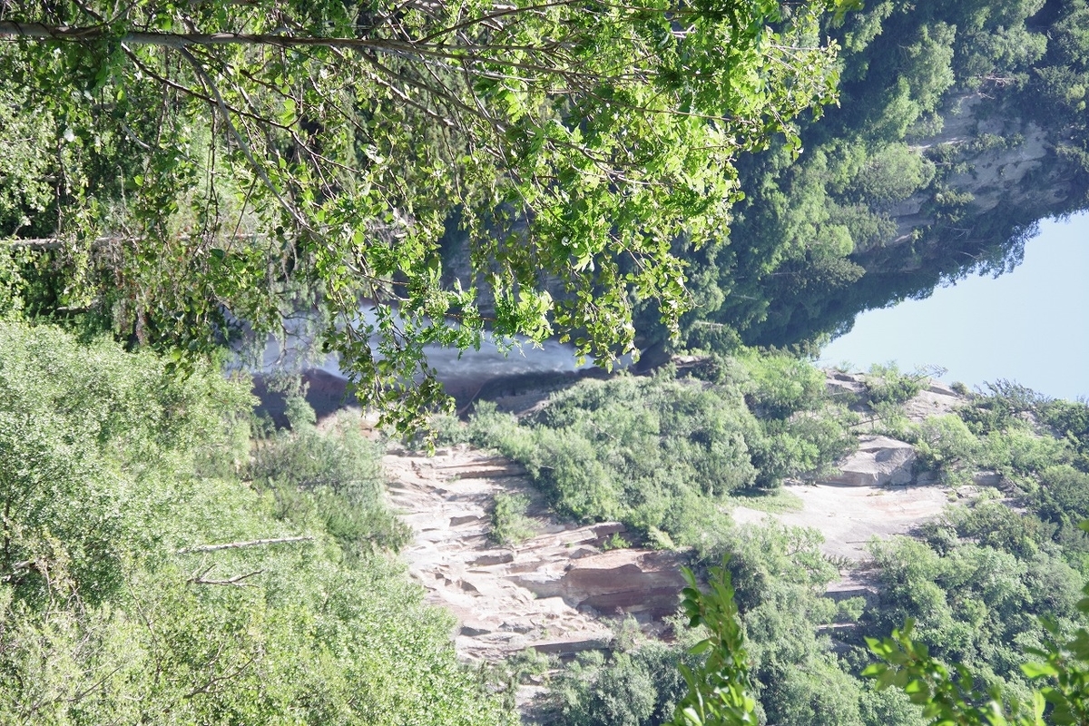 f:id:kyoumo_ichinichi:20190325221746j:plain f:id:kyoumo_ichinichi:20190325221746j:plain