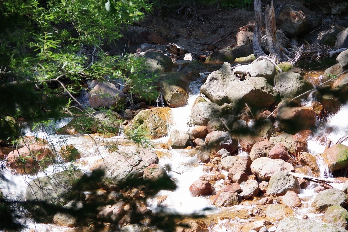 f:id:kyoumo_ichinichi:20190325221755j:plain f:id:kyoumo_ichinichi:20190325221755j:plain