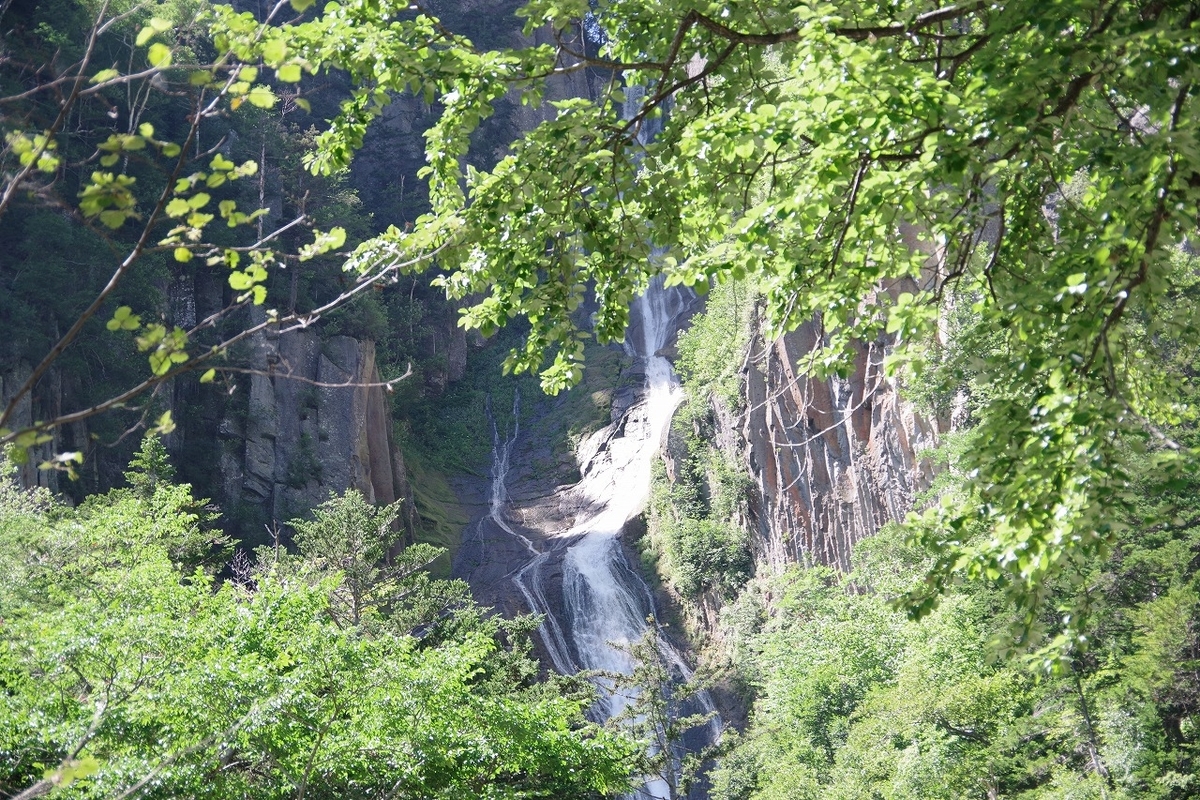 f:id:kyoumo_ichinichi:20190325221801j:plain f:id:kyoumo_ichinichi:20190325221801j:plain