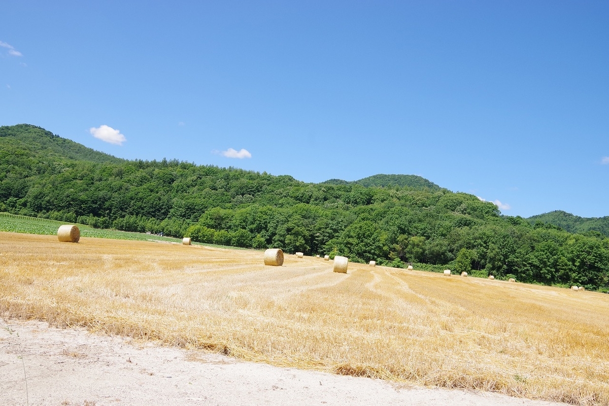 f:id:kyoumo_ichinichi:20190325221820j:plain f:id:kyoumo_ichinichi:20190325221820j:plain