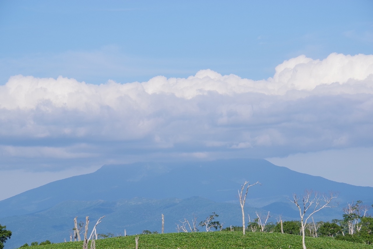 f:id:kyoumo_ichinichi:20190325221853j:plain f:id:kyoumo_ichinichi:20190325221853j:plain