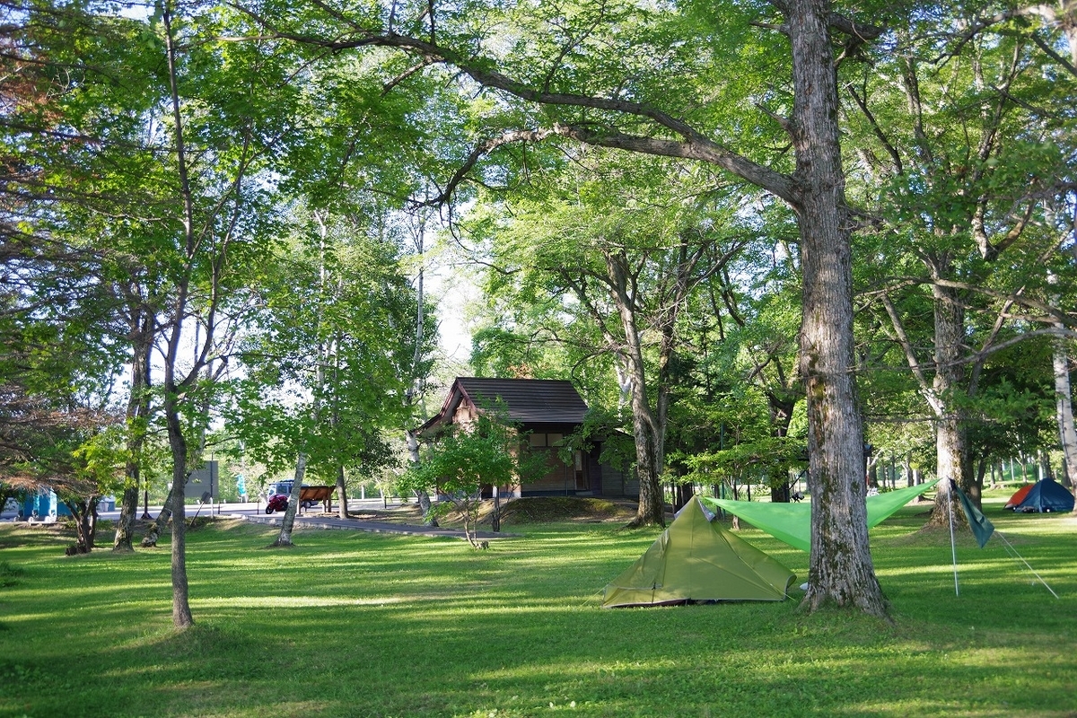 f:id:kyoumo_ichinichi:20190325221905j:plain f:id:kyoumo_ichinichi:20190325221905j:plain